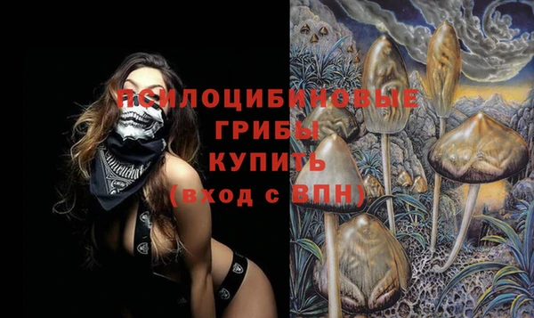 индика Алексеевка