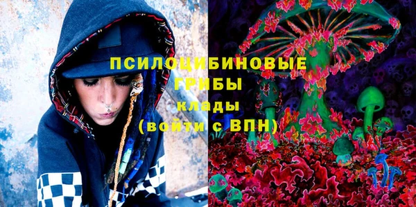 spice Алзамай