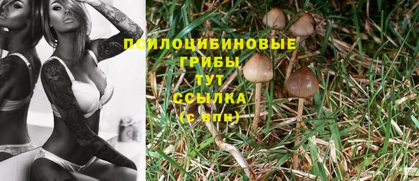spice Алзамай